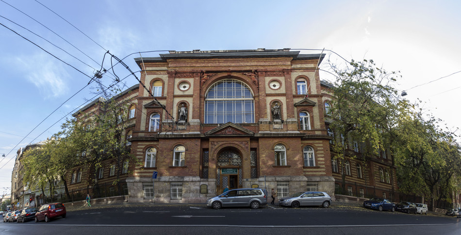 Клиника Semmelweis University