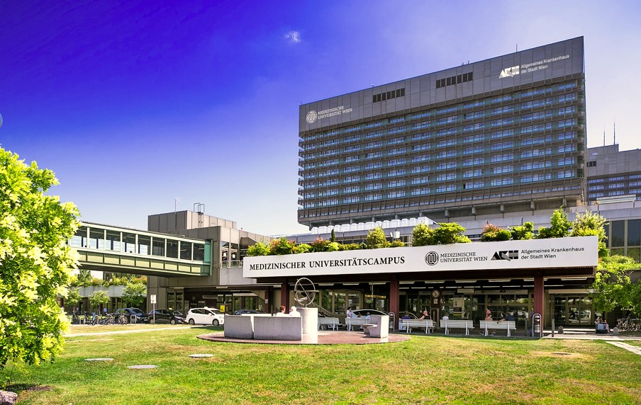Клиника AKH Wien